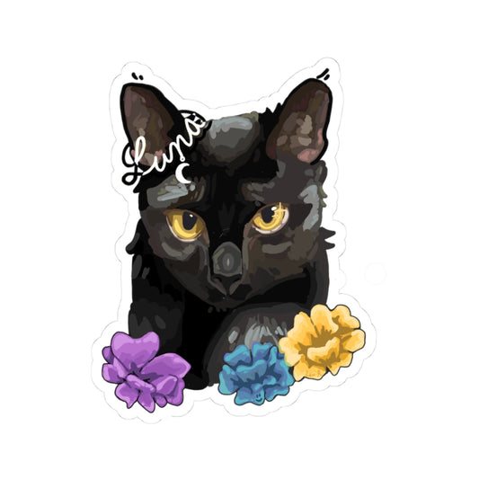 Luna sassy black cat.