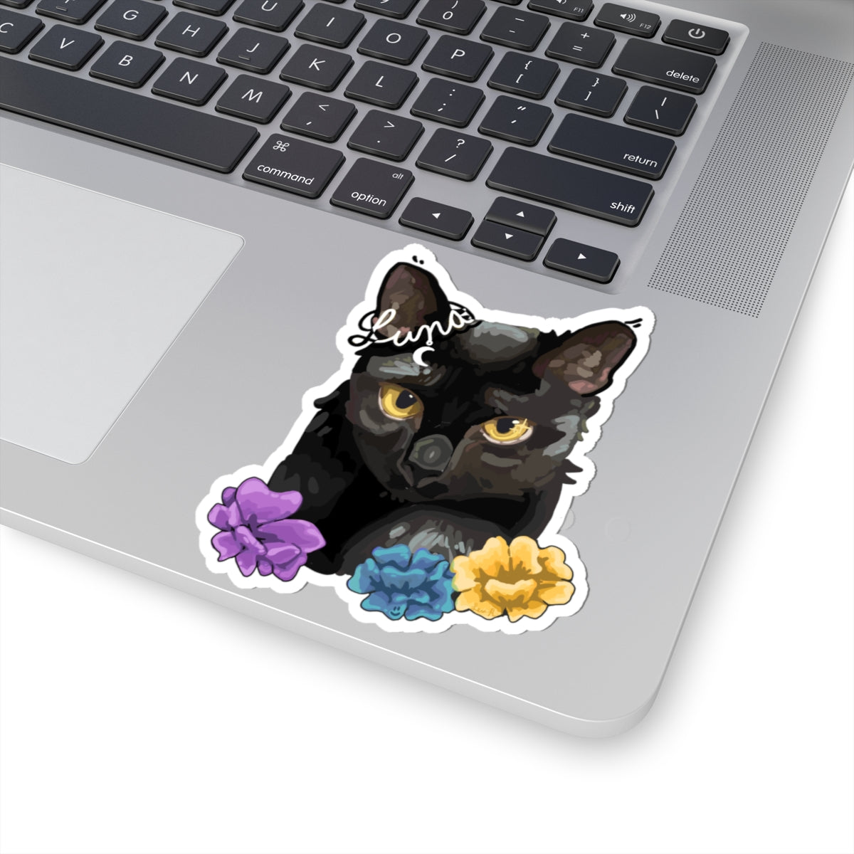 Luna sassy black cat.